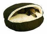 Burrow Beds For Dogs Photos