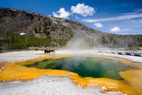 Should Go To Yellowstone Nationwide Park After In Lifetime Decor Woo