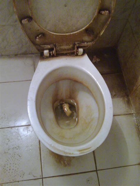 Add a photo to this gallery. Bad toilet | University toilet in Bangladesh | zafarbaig08 ...