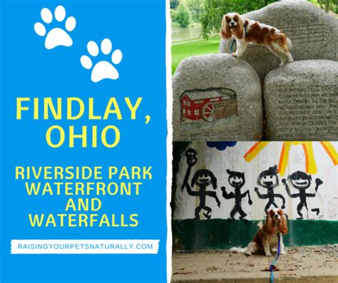 Dog Friendly Ohio Dog Friendly Findlay Ohio Dog Friendly Riverside