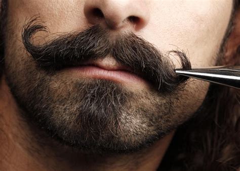 Pin By Anna L On S Rgio Mamberti Mustache Grooming Beard Wax Mens
