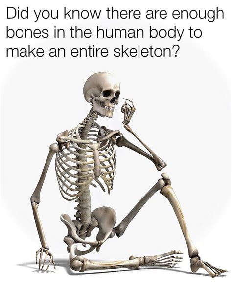 An Entire Skeleton Rmemes