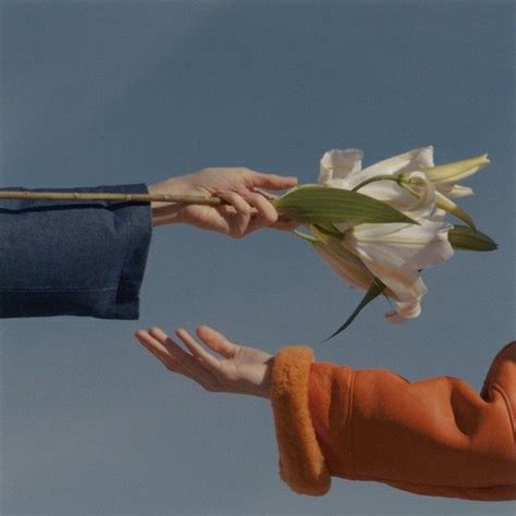 The sad lofi aesthetic isn't that bad. Pin by Moi Sylvie Eivlys on - Flowers - | Aesthetic ...