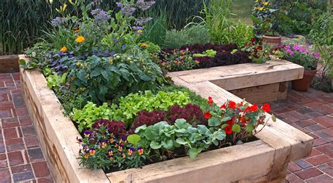 Tips To Make Gardening Easy For Seniors Helpful Products Garden Lovers Club