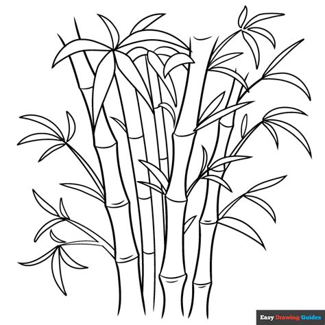 Bamboo Coloring Page Easy Drawing Guides