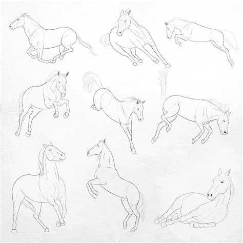 Horse Pose Sketch Clip Art Set Etsy