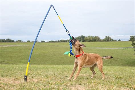 Xl Tether Tug Outdoor Dog Tug Toy For 60 90 Lb Dogs
