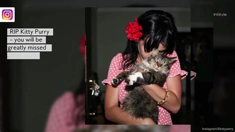 Katy Perrys Cat Kitty Purry Has Passed Away