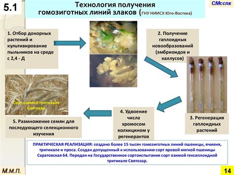 Генетическая инженерия в современной селекции и семеноводстве растений ...