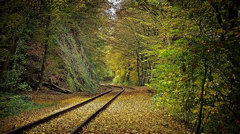 Railway Track Between Autumn Green Trees Forest Hd Nature Wallpapers