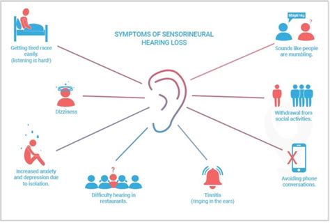 Sensorineural Hearing Loss Causes Symptoms Treatment Ziphearing