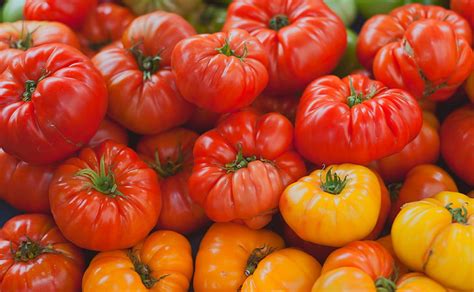 Hd Wallpaper Heirloom Tomatoes Orange And Red Tomato Fruits Food And