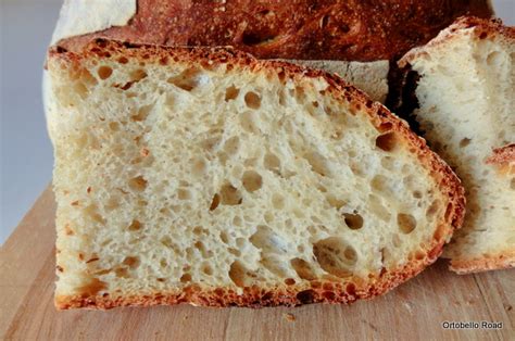 La ricetta del pane 100% semola rimacinata di grano duro vi spiegherà quale procedimento seguire per preparare in maniera impeccabile il pane con questo tipo di farina. Pan di Pane: Ricetta Pane di semola rimacinata di grano ...