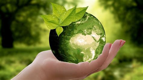 Hari Lingkungan Hidup Sedunia 4 Fakta Yang Harus Kamu Ketahui