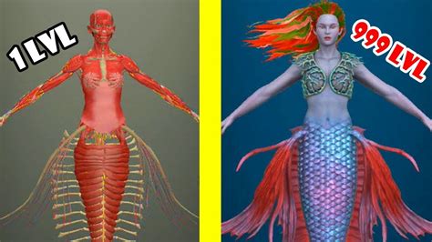 Idle Human Mermaid Opened New Creature Is Mermaid Max Level