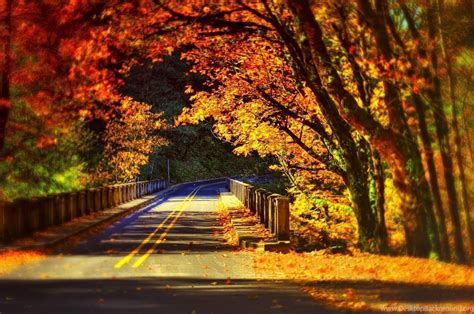 Leaves Fall Colorful Autumn Road Bridge Wallpapers Desktop Background