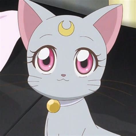 Pin By Andrea On Anιмε Diana Sailor Moon Sailor Moon Cat Magical Girl Anime