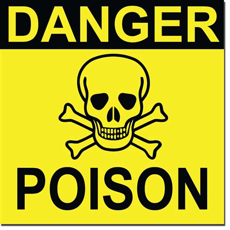 The Top 5 Most Poisonous Foods We Love To Eat — Guardian Life — The