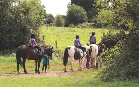 About Us — Mottingham Farm Riding Centre