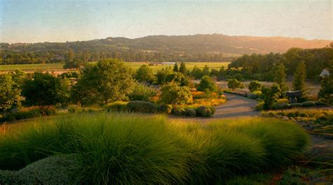 Sonoma Valley Vintners And Growers Bennett Valley Sonoma Valley