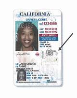 Photos of How To Get Ap License