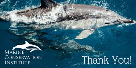 Giving Thanks Marine Conservation Institute