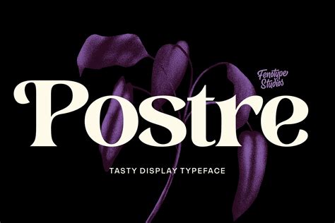 Postre Stylish Serif Serif Fonts Creative Market