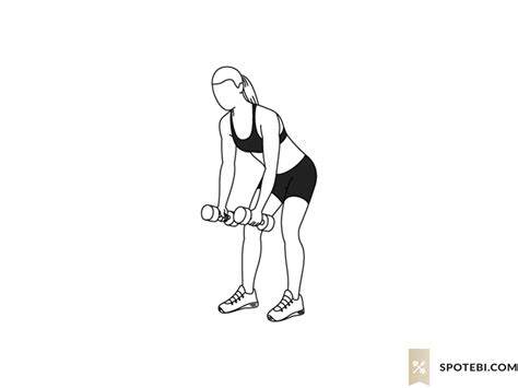dumbbell bent over row exercise guide with instructions demonstration calories burned and