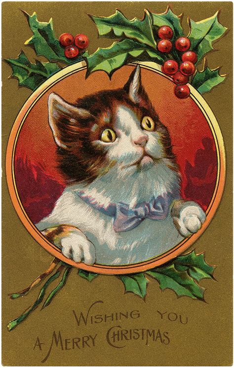 Antique Christmas Kitten Frame Postcard Vintage Christmas Christmas