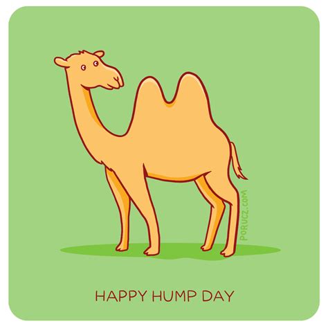 Happy Hump Day Wednesday Camel Camel  Hump Day Wednesday Camel