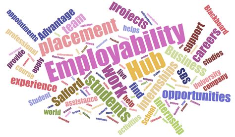 There is no single formula for successful study. 5 reasons why students should do a work placement