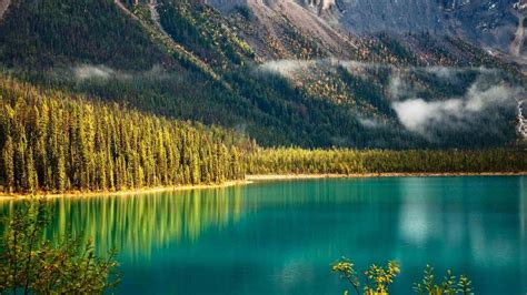 Emerald Lake Yoho National Park British Columbia Wallpaper Backiee