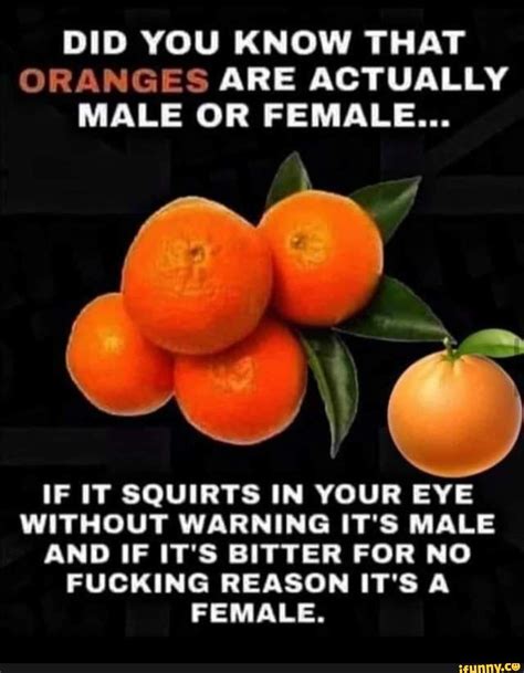 Did You Know That Oranges Are Actually Male Or Female If It Squirts