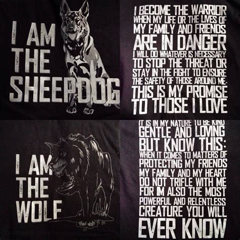 How are your sheep herding exploits going, @ucdrange !? 1912264 662947740445021 4853598892191748291 n | Warrior ...