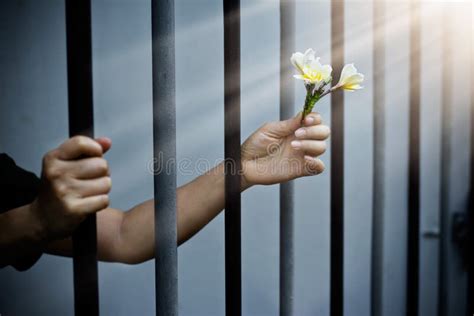 Preso De La Mujer En La Prisión Con Las Flores Blancas Imagen De