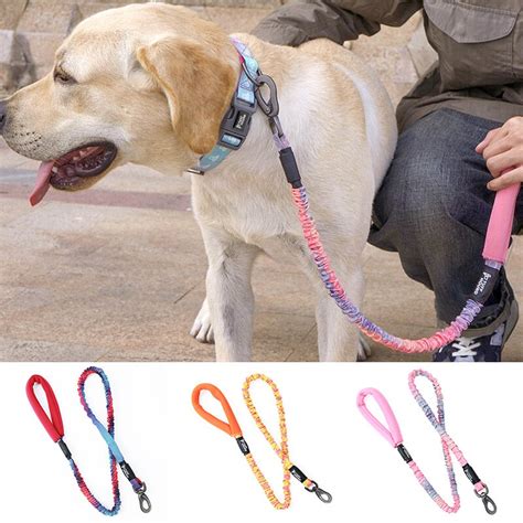 Hoopet Dog Leash Printed Nylon Pet Leash Rope For Small Medium Dogs