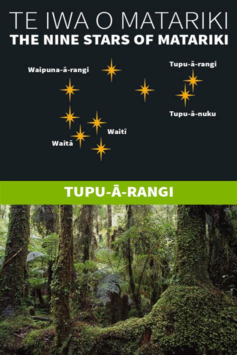 Te Iwa O Matariki The Nine Stars Of Matariki Kiwi Conservation Club