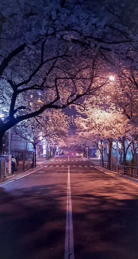 Check spelling or type a new query. Sakura Aesthetic Wallpapers - Top Free Sakura Aesthetic ...