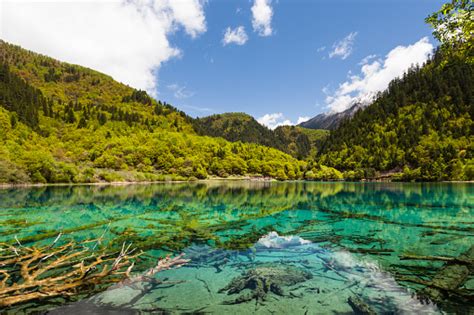 Lake At Jiuzhaigou Sichuan China Stock Photo Download Image Now Istock