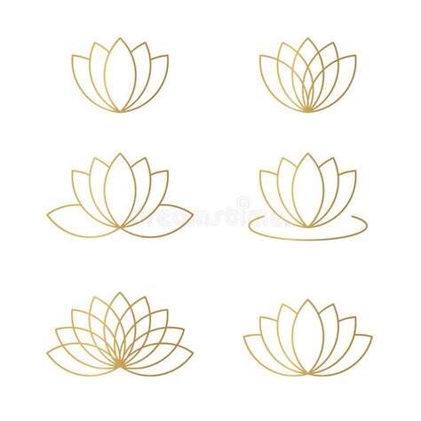 Golden Lotus Flower Set Stock Vector Illustration Of Graphic 238882147