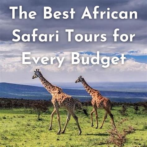 The Best African Safari Tours For Every Budget