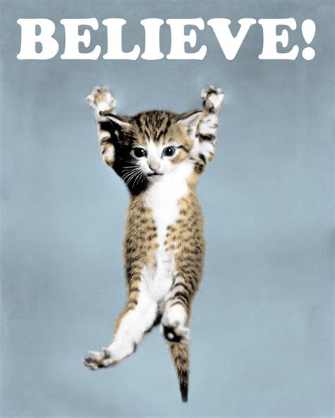 Check spelling or type a new query. poster as seen on the lego movie ! | Cat posters, Cats ...
