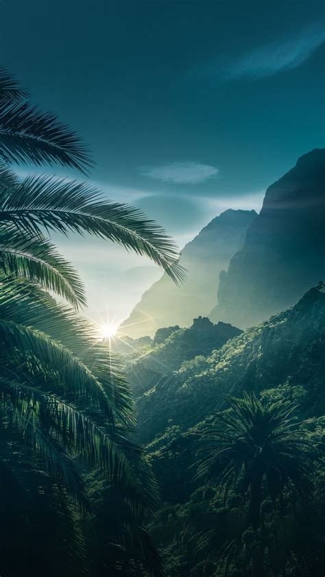 MuchaTseBle (mit Bildern) | Hintergrundbilder natur ... 1001 ideen für schöne hintergrundbilder zum herunterladen.