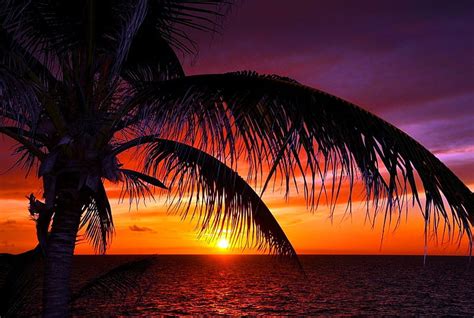 1920x1080px 1080p Free Download Tropical Sunset Glow Shore Sunset