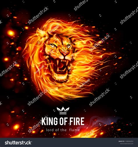 Head Aggressive Lion Flames King Fire Stock Vector Royalty Free