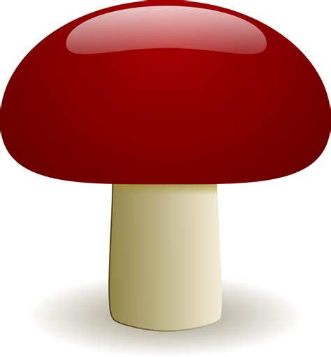 Mushroom Clip art - mushroom png download - 1775*1920 - Free Transparent Mushroom png Download ...