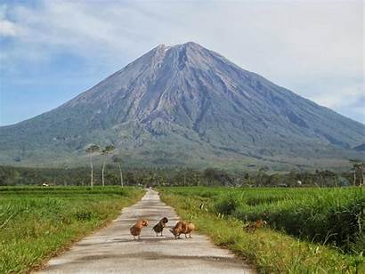 Semeru Gunung Pendakian Bromo Indonesia Ke Paket