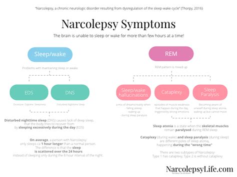 narcolepsy the 5 symptoms narcolepsy life