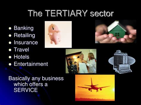 Ppt The Different Sectors Of Business Activity Powerpoint