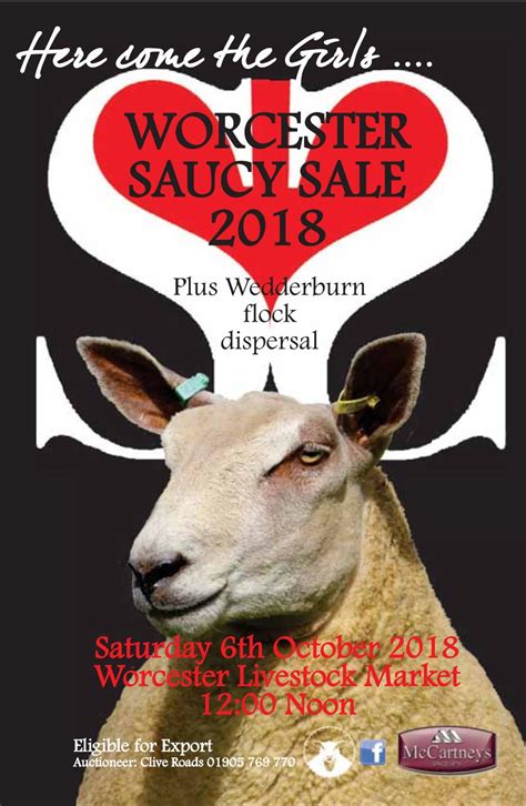 Worcester Saucy Sale By British Charollais Sheep Society Issuu